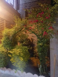 سند٢٥ • ١٧٠م • طابقين