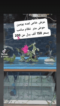 ‏عرض خاص لمدة يومين ‏حوض نظام سامب سعر 150 بدل عن 200 الف ‏ ‏العنوان ‏...