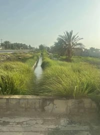 يوجد عندي دونم طابو زراعي سند ٢٥ بئسمي  الدونم بلسكني كهرباء وماء وشار...