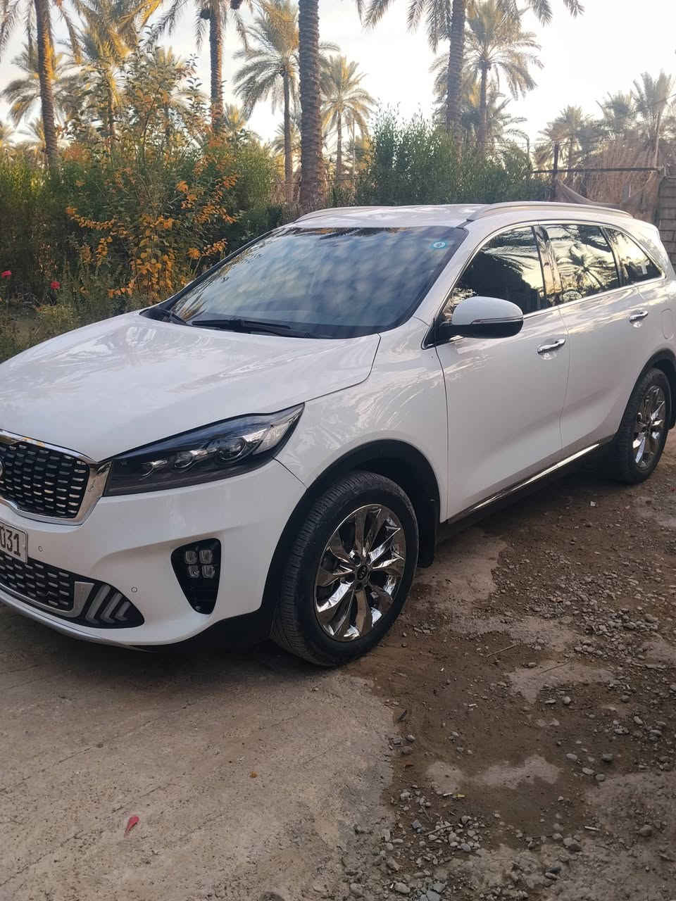 @إشارة السلام عليكم
سورنتو وارد خليجي للبيع موديل 2019 رقم بغداد انكليزي 
تشغيل بصمه 
مكينه 6سلندر 
حساسات خلفي امامي
بوب بصمه 
بردات ابلادي
3قطع تبريد 
7راكب كراسي كهرباء
شاشه أصليه ابلادي 
كشنات جلد 
بونيد ودعاميه اماميه شرط بدون داخل جاملغ الخلفي بي صبغ بسيط سياره جديده ماشيه 59الف السعر 250$ وبيها مجال  بسيط
 العنوان بغداد الراشديه الشراي يتصل *********** /***********
