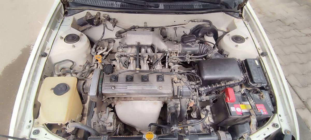 سلام عليكم تويوتا كورلا ١٩٩٩محرك١٦٠٠السيارة جاهزة مابيه نقص سيارة نضيفة  رقم السيارة بغداد السيارة بسمي تحويل مباشر السعر ٧٥ وبيهة مجال حك الجية


**إذا كنت صاحب هذا الإعلان وتريد حذفه لأي سبب، رجاءا أرسل رسالة إلى الدعم الفني**