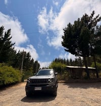 جيتور T1 PHEV • ٢٠٢٦ • ضمان ١٠ سنين