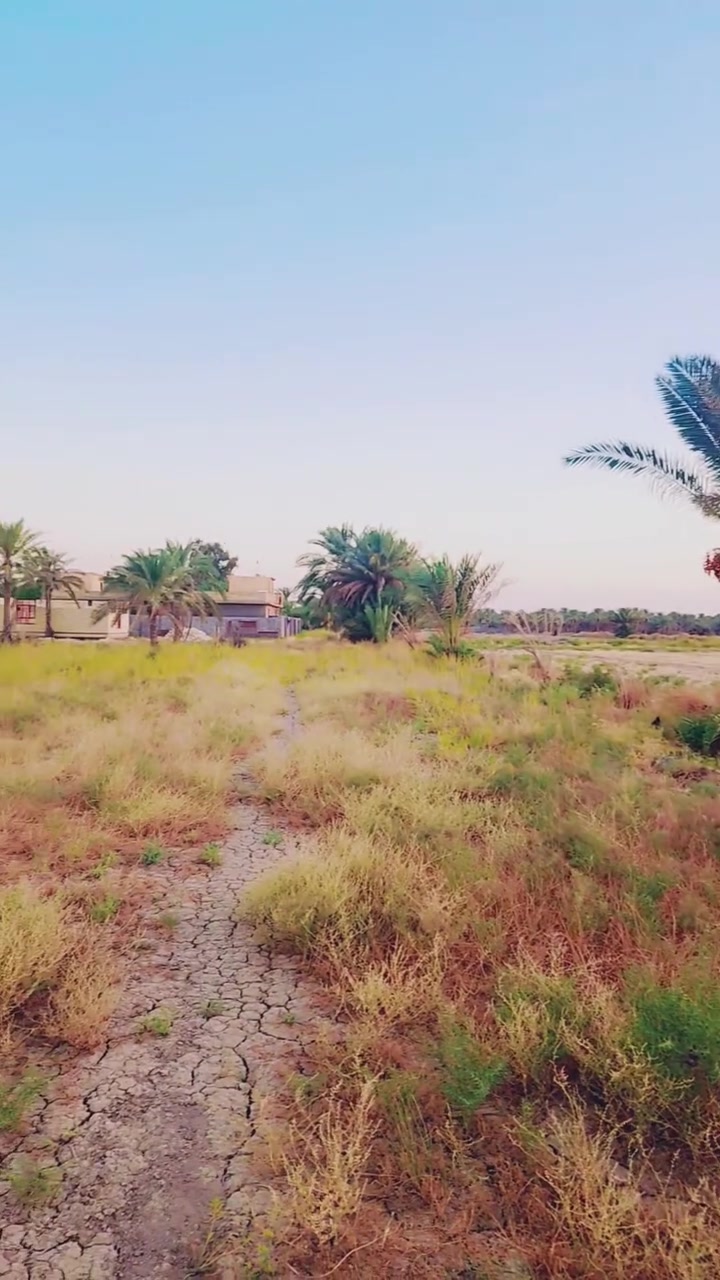 السلام عليكم ..
للبيع دونم طابو زراعي سند ٢٥ 
واجهة ٥٠ ونزال ٥٠ مربع 
العنوان ؛ الشامله نزلة حميد فرج 
للأستفسار ؛ ***********
