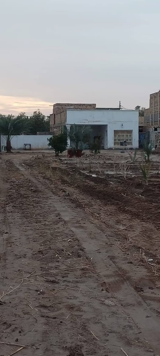 سلام عليكم من رخصت ابو الكروب بيت اللبيع طابو زراعي سند ٢٥ مساحة دونم كونكريت مسلح يتكون من غرفتين نوم وصالة واستقبال ومطبخ وصحيات داخلية وخارجية خدمات كاملة كهرباء وماء اسألة على شارع العام مباشر العنوان طريق السنية الاتصال على الرقم ***********
