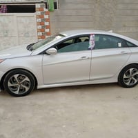 ٢٠١٤ • وارد امريكي • صبغ فقط