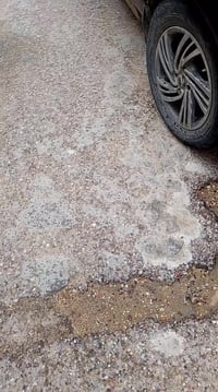 برنس • اوتوماتيك • بابل