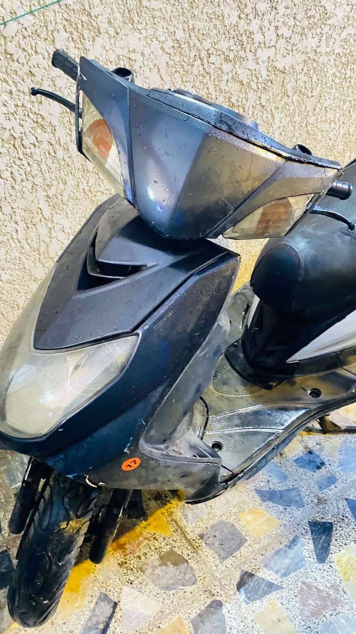 سكنس فحل للبيع السعر 350
بغداد بلديات ‭0770 586 7649‬
