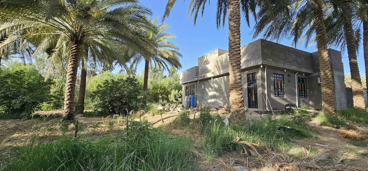💥أهلا وسهلا بكم متابعينا الكرام 💥 
                    الملاك للعقارات كربلاء 
💢بستان مع دار حديث البناء طابوق درجة أولى 

💢جميع الخدمات متوفرة
💢 جنس الأرض طابو زراعي سند 25 تحويل أسهم بأسم المشتري 
💢 العنوان// كربلاء _ منطقة الإبراهيمية _مقابيل قناة كربلاء بكيلو _ تبعد عن الإمامين عليهم السلام 10 كيلو تقريبا 
🎬 يوجد فيديوا يوضح التفاصيل كاملة 

💢 النجاة في الصدق #المصداقية_عنواننا

أي إستفسار يرجى الاتصال أو المراسلة على الأرقام التالية: 
               محمد أبو ملاك الحسناوي 
☎️ ***********   ☎️***********
