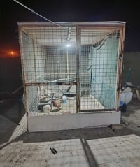 قفص حديد ثقيل • ٣م×٢م×٢٫٥م • الناصريه