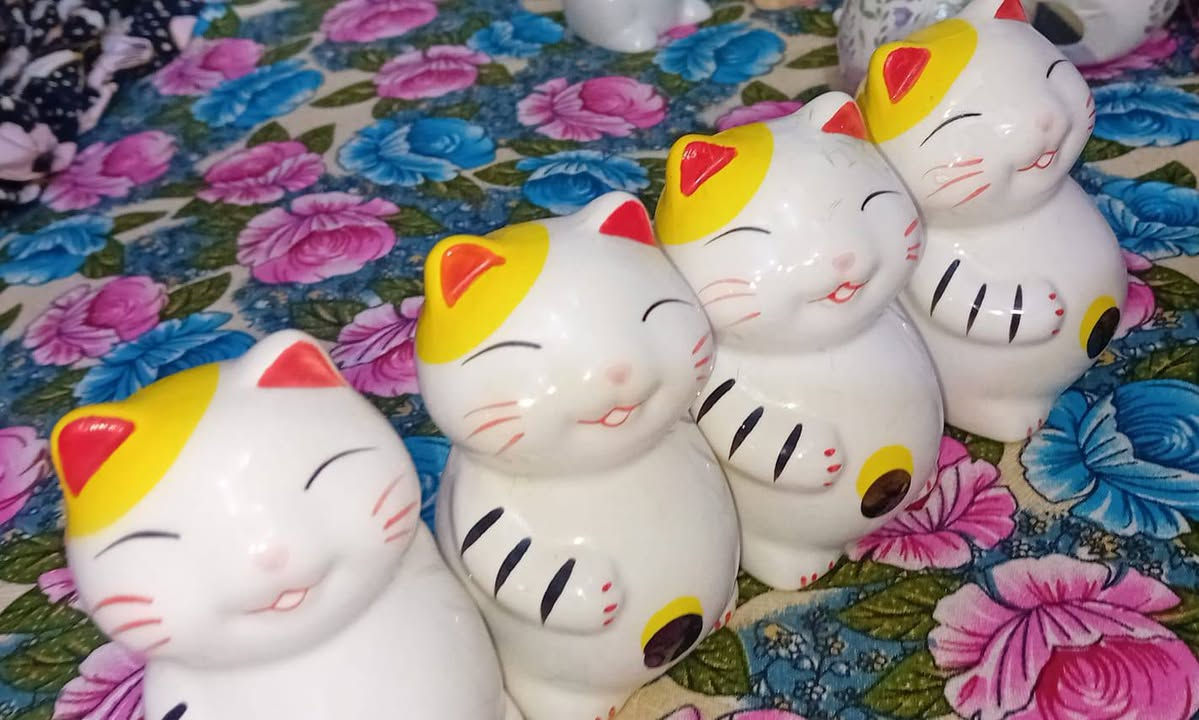 راسلوني خاص دللو
