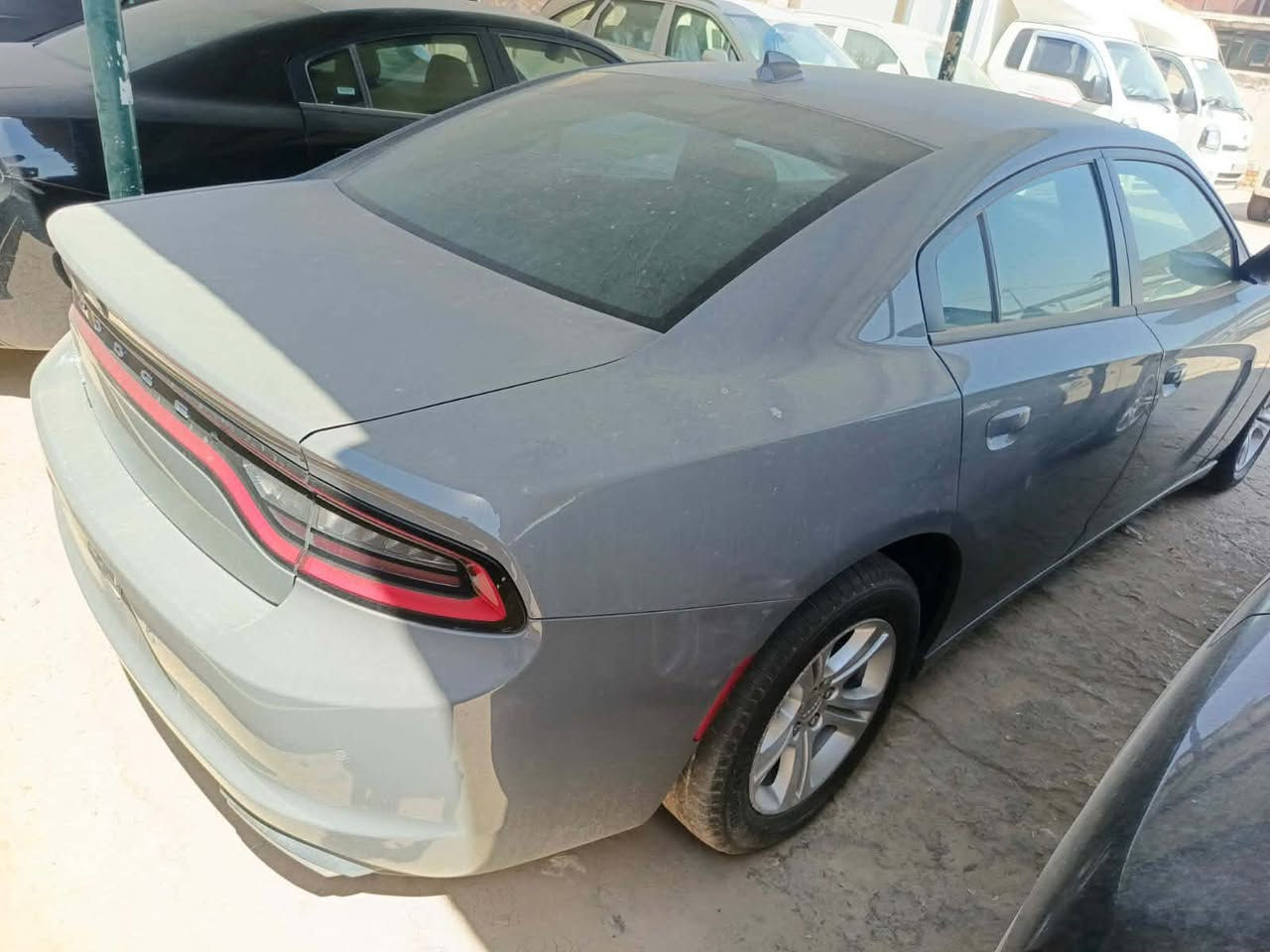 🔺دخول جديد دوج جارجر امريكي🔺
الموديل .2023🪬 اصل 

               (الاصدار الاخيرررر)

              اللون . سمنتي مميز 🩶

المسافة المقطوعة 45 mi فقط وظع الوكالة

حجم المحرك 3600

(كفاله السياره)

مواصفات السيارة ..

-كامرة خلفية دوارة HD

-لايتات زنون وكالة

-تشغيل عن بعد 

-كشنات حضن مع تحكم كهرباء

-حساس خلفي

- بلوجكترات زنون لد امامي 

-شاشة كبيره مع نضام GPS

-مري جانبية هيتر مع عاكس الضوء

-نضام USB- كامل 

-تبريد قطعتين

-بصمة ابواب 

( فحص باسمي اني المستورد بدون رقم تترقم جميع المحافظات)

مكان السيارة الديوانية 🫵

اي استفسار الاتصال. متوفر وتس اب 

📞‏‪‏‪***********‬‏
