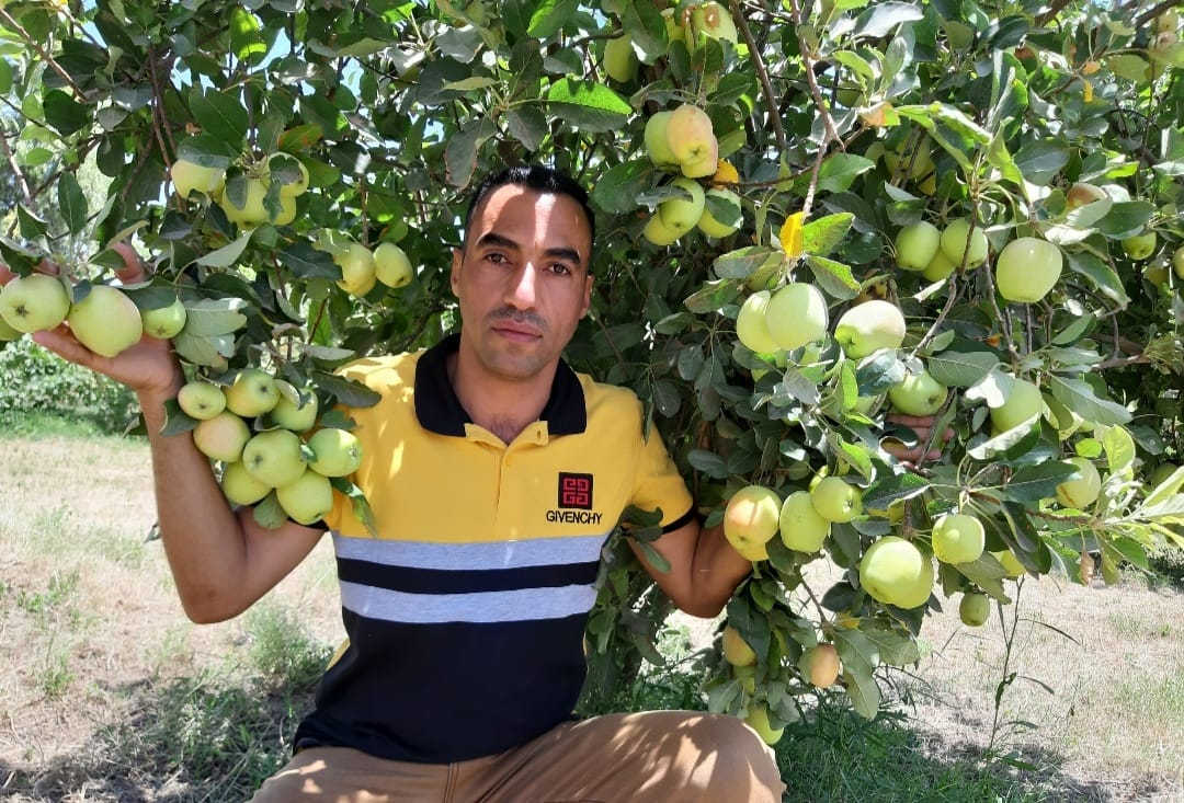 بشرى سارة 
لأهلنا في ناحية جبله وكل شمال بابل وجنوب بغداد 
تم أفتتاح مشتل الكرم قرب سيطرة العكير بإتجاه السوق جهة المشروع 
تتوفر لدينا جميع أنواع وأصناف الأشجار من الحمضيات والنفضيات والزهور وأشجار الزينه 
حيث تم تركيبها وتطعيمها بأصناف وسلالات غزيرة الإنتاج عالية الجودة علماً بأننا مستعدون لرسم وتخطيط وتنفيذ البساتين والحدائق وتقديم الأستشارة مجاناً وبإشراف الأستاذ حسام الدليمي .
للتواصل والإستفسار يرجى التواصل على الرقمين
واتس***********
***********
