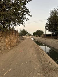 _يتوفر لدينة دوانم المساحة الكلية ٥ دوانم🏠🏝️ مسيج بيارسي سعر الدونم ال...