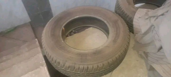 زوج دلوب نظيف جدا جدا حجم ١٧ ٧٥ ٢٤٥ سعر ١٢٥


**إذا كنت صاحب هذا الإعلان وتريد حذفه لأي سبب، رجاءا أرسل رسالة إلى الدعم الفني**