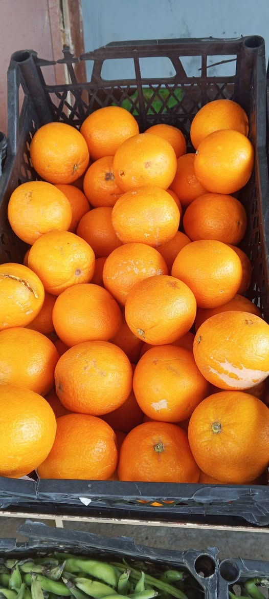 رمضان كريم 
مسواك اليوم 
طماطة 750
خيار 750
بطاطة 500
بصل 500
لهانه 500
شجر 1250
اسود 1250
فاصوليه 2000
باجله 2000
فليفلة 1250
قرنبيط 1250
موز 1250
برتقال 1500
تفاح 1250
يوسفي 1000
***********
