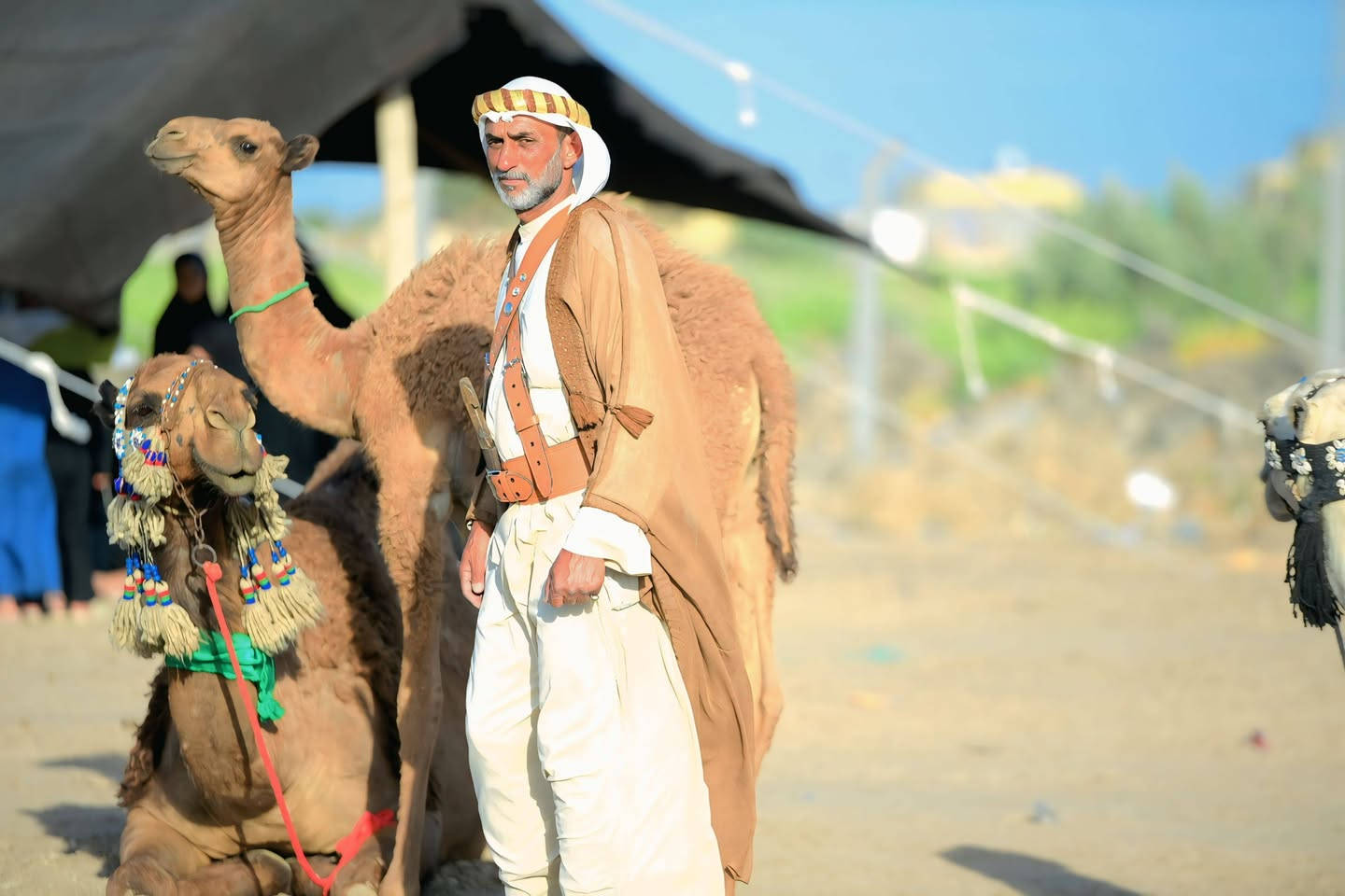 #ساحةتشابيةقضاءالحي 
#دفن_الأجسادالطاهره 
في أجواءٍ يملؤها الحزن والولاء، شهد قضاء الحي إقامة مراسم دفن الأجساد الطاهرة، في مشهدٍ جسّد عمق الارتباط بفاجعة الطف واستذكار المظلومية الخالدة للإمام الحسين (عليه السلام) وأهل بيته وأصحابه.

وتوافد المعزون والمواكب الحسينية للمشاركة في هذه المراسيم التي عكست روح الإيمان والتلاحم، وسط أجواءٍ مهيبة امتزجت فيها الدموع بالدعاء، تأكيداً على تجديد العهد بالسير على نهج الإمام الحسين (عليه السلام) وقيمه السامية في التضحية والإصلاح.

📸مؤسسة مهدي العيساوي  للتصوير والأنتاج الفني مستعدون لحجز كافة المناسبات في واسط بأحدث الاجهزة والكاميرات  ***********

باقي الصور رابط اسفل 👇👇👇👇👇👇👇👇👇
https://t.me/m99_adi
