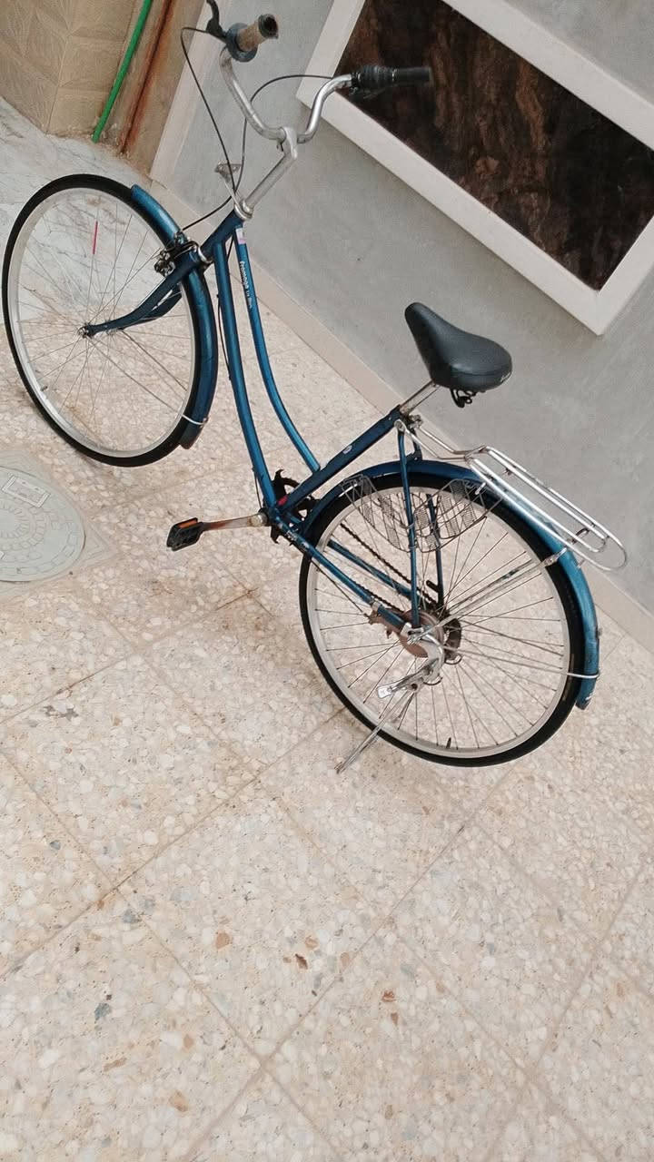 السلام عليكم بايسكل للبيع نظيف سعر الباسكين 45 وبي مجال او مراوس باسكن نظيف و انطي فرق مكاني كربلائي حي العامل منطقه الثالثه خاص مفتوح 🌹 رقم الهاتف ***********
