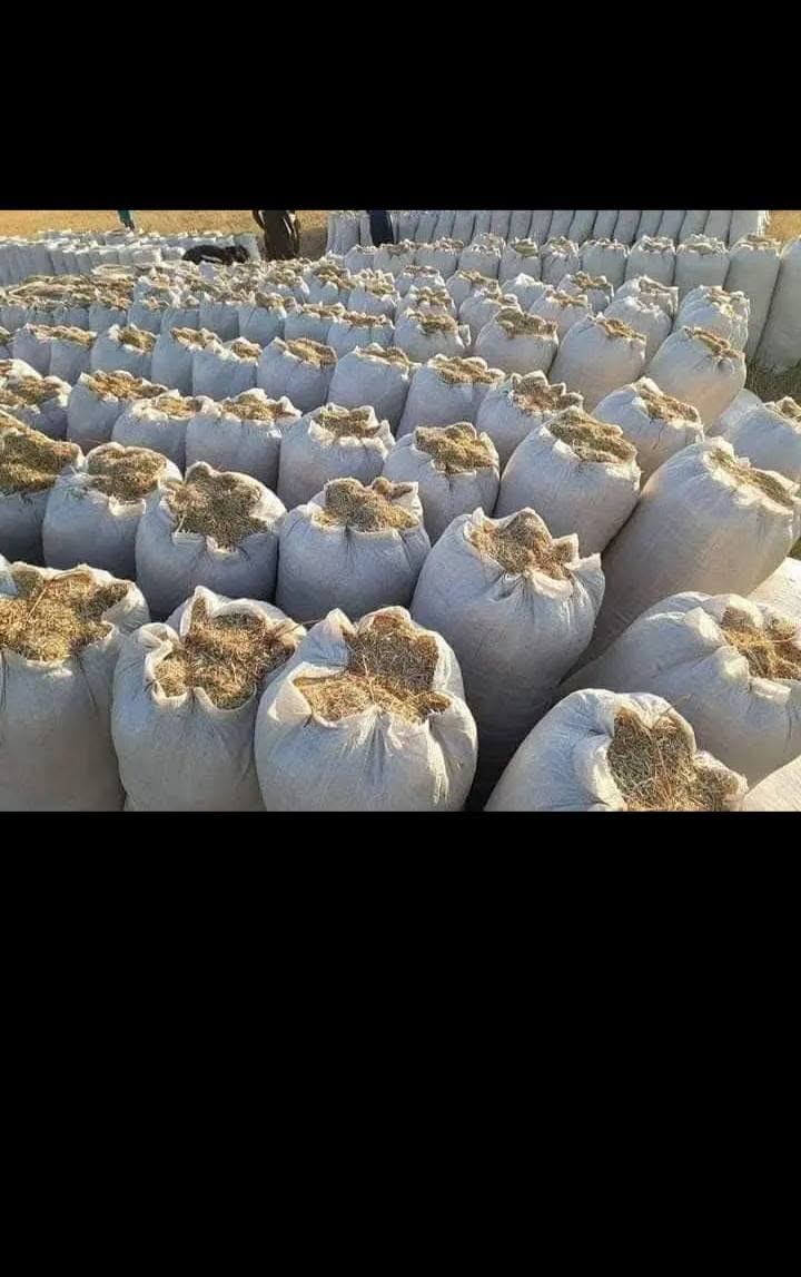 السلام عليكم يوجد تبن للبيع درجه اوله ابيض مال السنه توصيل للبيت مجاني حجم الكيس 55//السعر 2500//رقم التلفون ***********///***********
