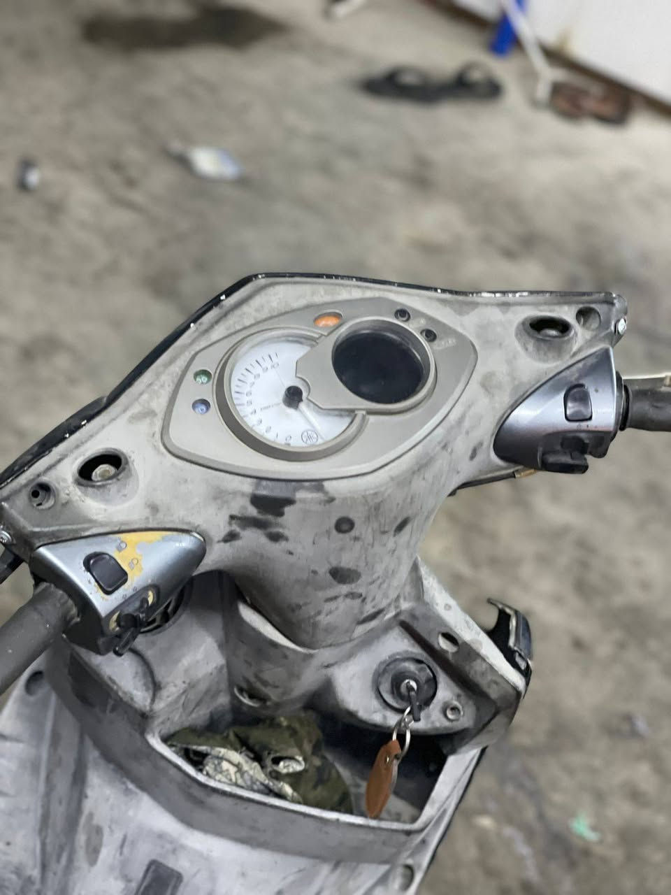 السلام عليكم سكنس للبيع فحل جاهزه *********** بغداد المحموديه
