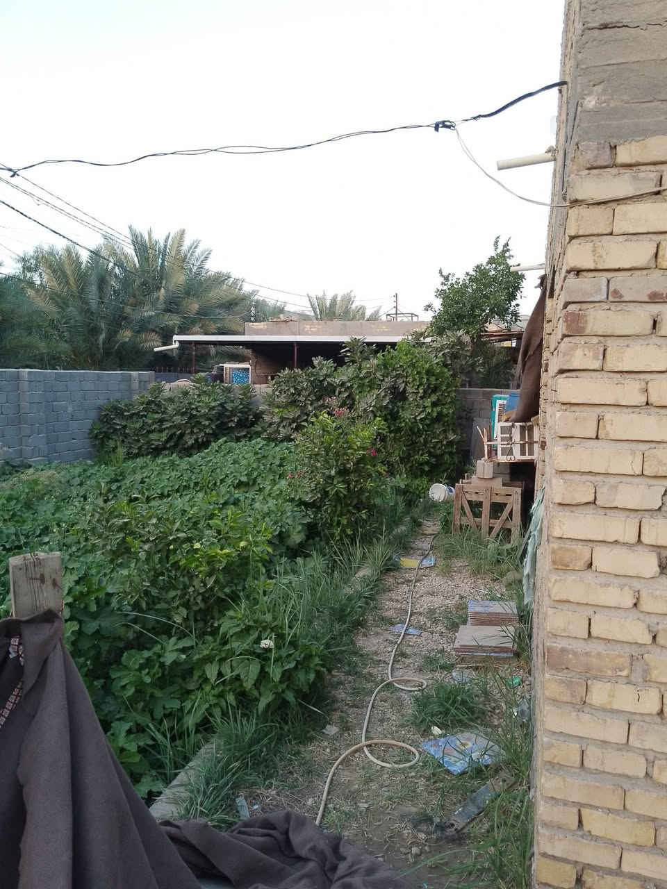 السلام عليكم
بيت البيع مساحه600

البناء230
مكاني بابل محاويل حي ابو سديره
مشمول بل تطويب السعر 70بي مجال  لاتصال ***********

