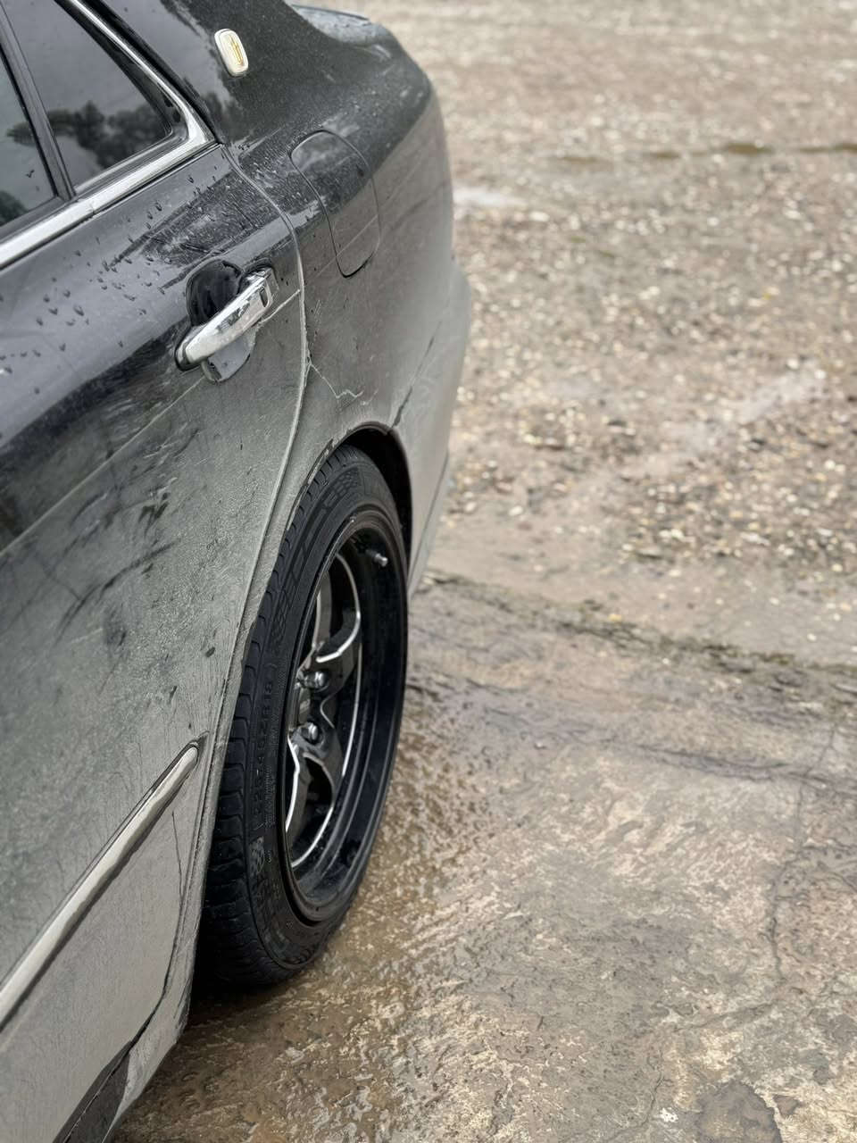 ویل وێڵد دو سایز لۆک لۆکە بۆ گۆرینەوە بە دنگەی ستیل بەس ویل ئەگۆرمۆ ***********کەلار
