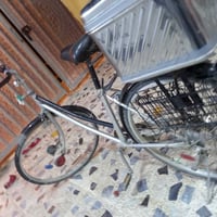 باسكل • سامراء