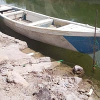 بالم فيبر • البصرة • قضاء ابو لخصيب