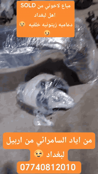 الله يطرحلنا بيهن الخيروالبركه يارب العالمين
مشاء الله تبارك الرحمن
النضافه بالصور
واحد عراق يقدملكم انضف سلعه وقطع غيار بالسوك
 عقل كير 225 راحت للبصره يدللون اخوتي اهل بصره اهل كرم
يدللون عليه اخوتي من بغداد الحبيبه عاصمه وكلاء قطع غيار التيلورايد
لديكم اياد السامرائي لاخوف عليكم
تم بيع دعاميه زيتونيه وحداديه لاخوتي من بغداد الحبيبه
خدمه توصيل سريعه تطلب اليوم ثاني يوم يم بيتك توصلك البضاعه
انضف واجمل بضاعه بالسوك اقدمها الكم
اياد السامرائي ***********
رابط صفحتي الشخصية ع الفيس بوك
https://www.facebook.com/share/1C6oD6dYeB/
رابط كروب الواتساب 
https://chat.whatsapp.com/EeNJWhJ3rqzCtTaRTigjn0
