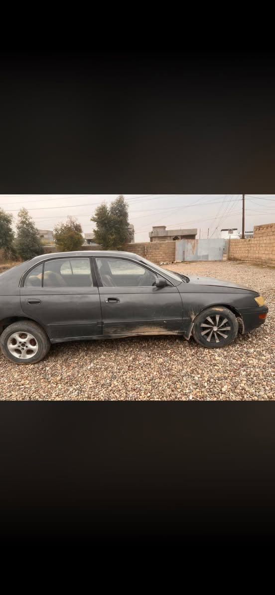 كورلا فرخ بطه
رقم نينوئ 
مصبوغه عام جمالية
السعر ٢٥
***********
***********
