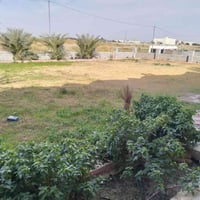 ارض زراعيه • ٣ دوانم • اليوسفيه