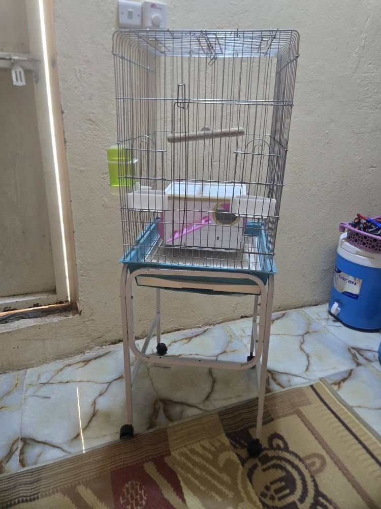 قفص ببغاء وكوكتيل للبيع مع بيت بلاستك مع كامل الملحقات حجم كبير للاستفسار الاتصال 
*********** عمارة, ميسان
