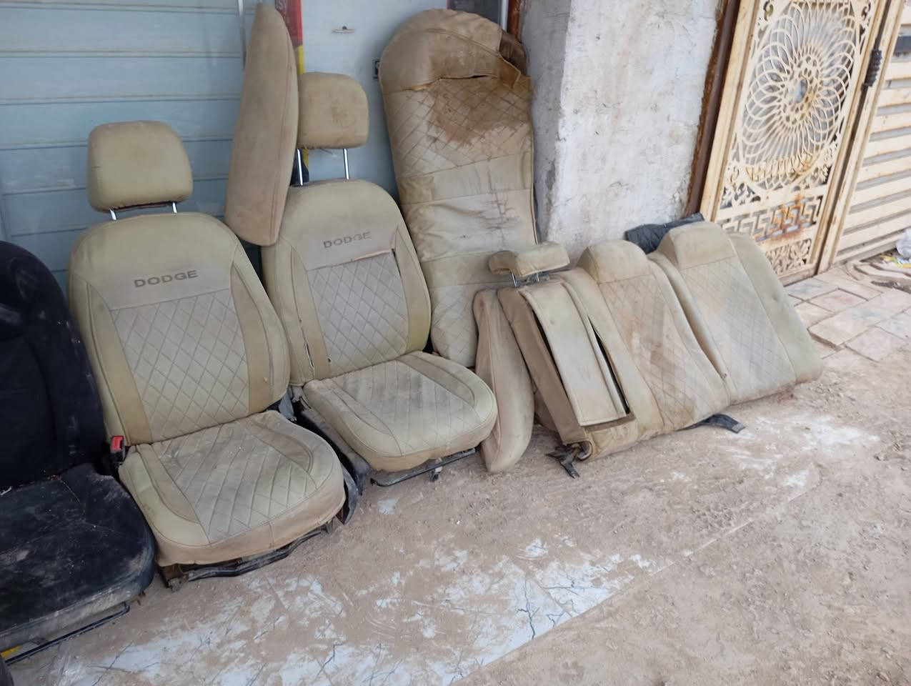 كشنات جارجر 15 كشنات اوباما 14 السود كشجنات جارجر 14 سلف دعاميه كامله هيه ولايتها دعاميه مالت كيه اوكتيمه تسعه بيها كسر دركه مالت استيرن وكبسوله مال 14 اسبايدر مال 14 لون اسود اسعار مناسبه
‏‪0788 329 3600‬‏
