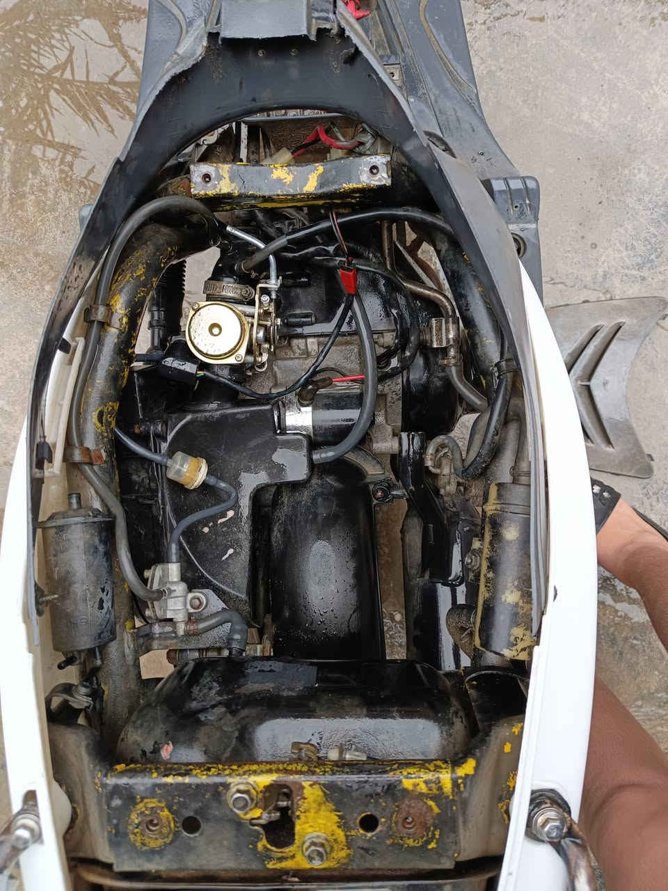 سلام عليكم درجة ماكس منغولي شغالة مية بل مية شرط هندر واحد الدراجة ما متعبينهة بس اروح بيهة للدوام وارجع الكمالية ورة السوق حي الامل للتواصل *********** وتساب السعر 300الف و بيهة مجال للطيبين
