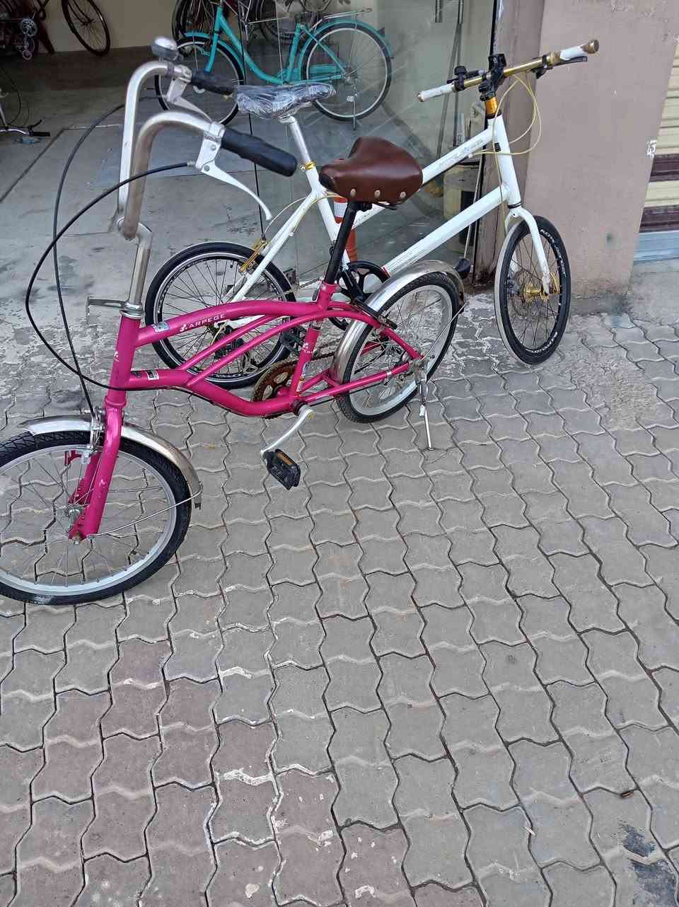 🚲 محل [ابو زياد]
بيع جميع أنواع البايسكلات
والتصليح ومراوسه وشراء 

(أسعار مناسبه) 
 نرحب بالجميع

الرقم ***********
الرقم ***********
