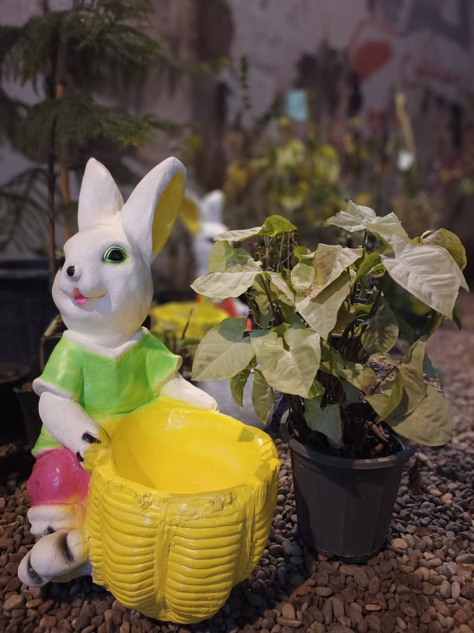 نورتونا 🌞🍂
مشتل دوميز يرحب بكم، ووصلتنا نبتات وسنادين بأشكال متنوعة وجمال يسرّ العين 🩷🌿
🔥انتضرو العروض اليوم🔥🩷🌿
🦋🦋🦋🦋🦋🦋🦋🦋🦋🦋
#مشتل_دوميز #نباتات_منزلية #نباتات_داخلية #تجهيزات_زرع #نباتات_الموصل #ديكور_نباتي #عشاق_النباتات #نباتات_ظل #نباتات_زينة #موصلنا_خضرا #نباتات_للبيت #تنسيق_نباتات #هدايا_خضراء #نباتات_وعناية #AL_MOSUL
@إشارة #flowerstagram #flowers


**إذا كنت صاحب هذا الإعلان وتريد حذفه لأي سبب، رجاءا أرسل رسالة إلى الدعم الفني**