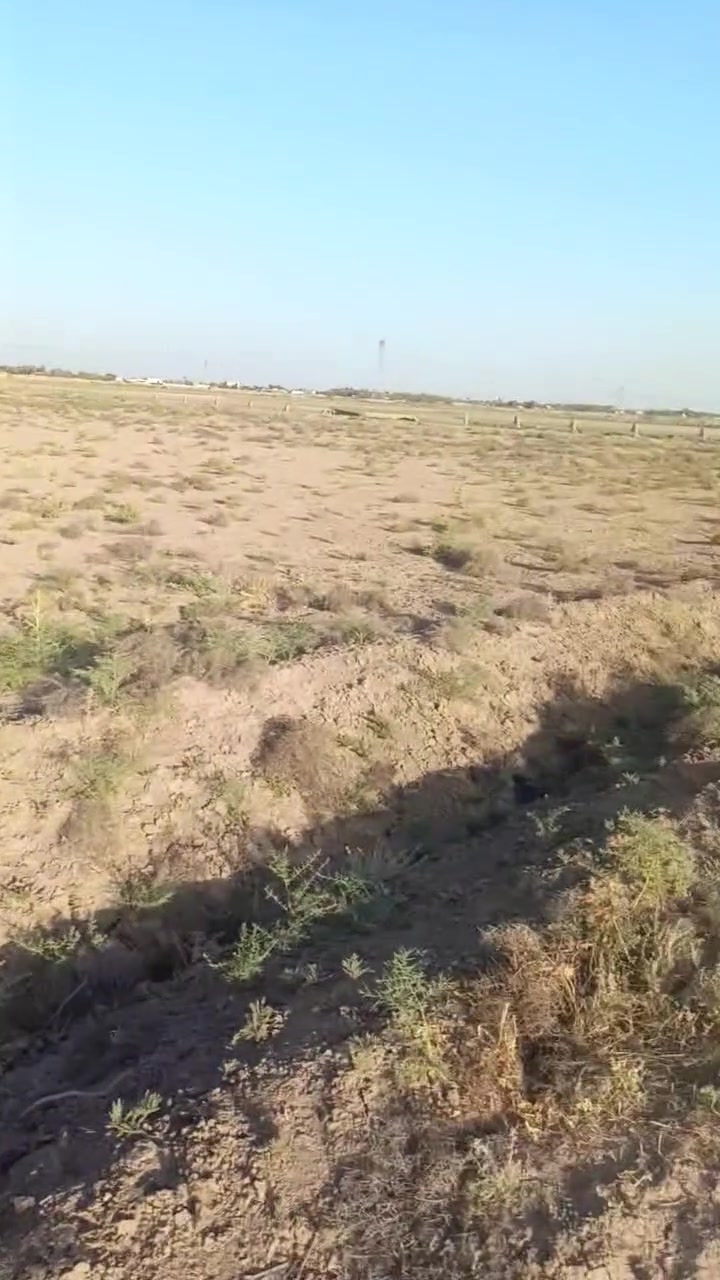 دوانم طابو زراعي سند 25ابو غريب عشره مناصير تصلح سكن وشاليهات ***********واتساب
