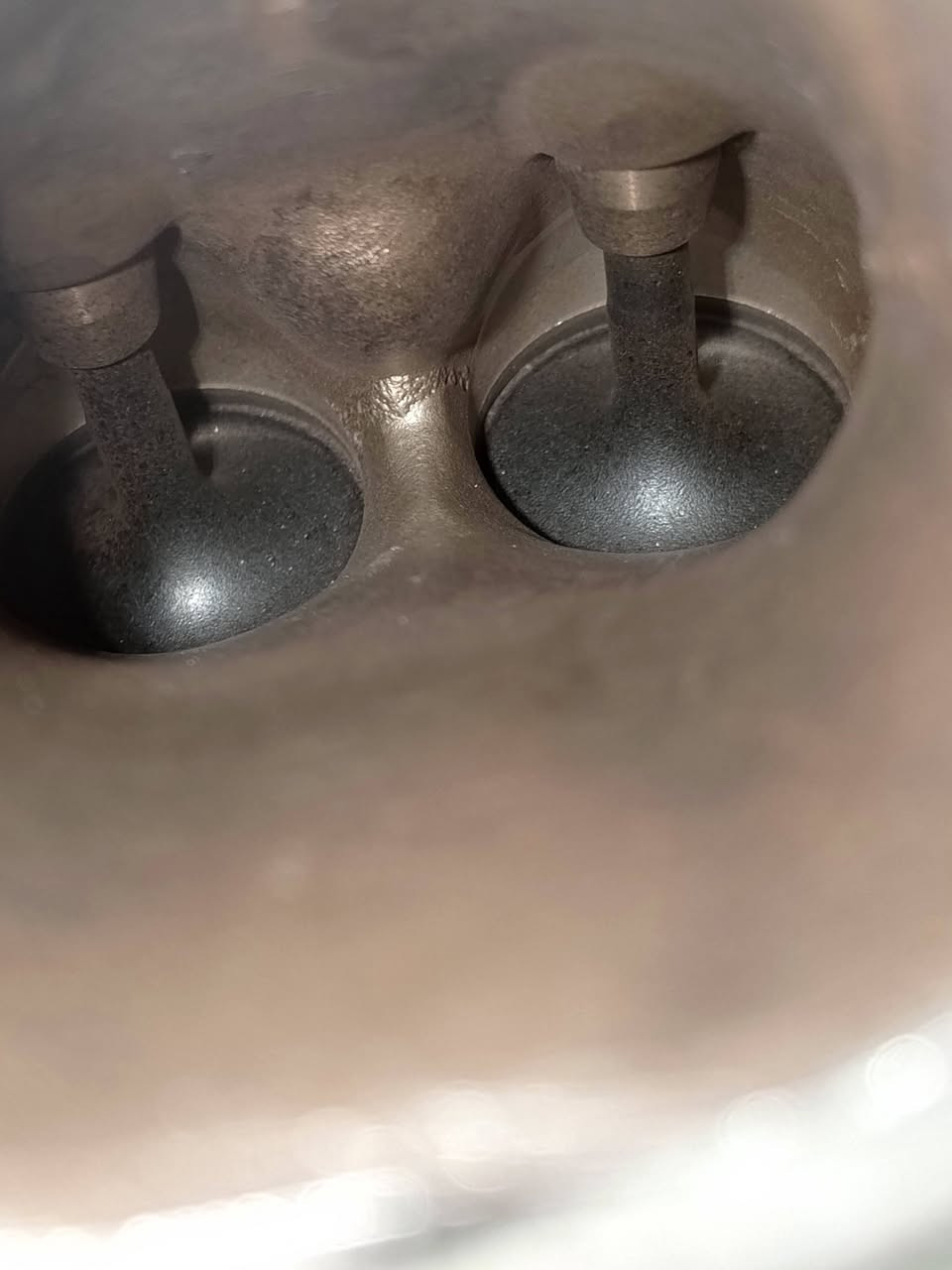 مركز المصطفى لإدامة السيارات 
العنوان السماوة حي الاعلام شارع السيراميك مقابل شركة فجر الطاقة للزيوت العالمية 

***********
