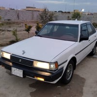 كرسيدا • ١٩٨٨ • كفالة عامه