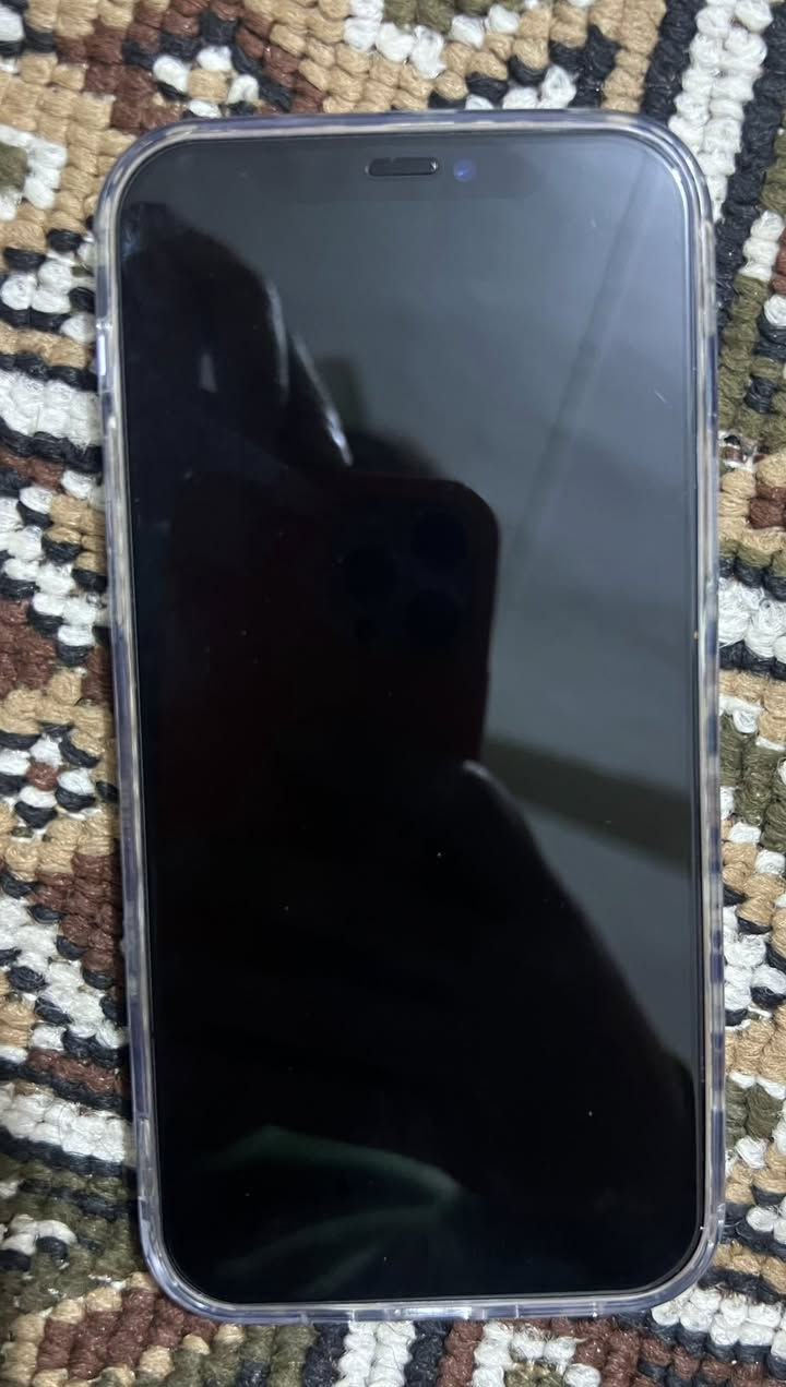 ايفون 12
ذاكره 64

بطاريه87

للبيع سعر 300الف


**إذا كنت صاحب هذا الإعلان وتريد حذفه لأي سبب، رجاءا أرسل رسالة إلى الدعم الفني**