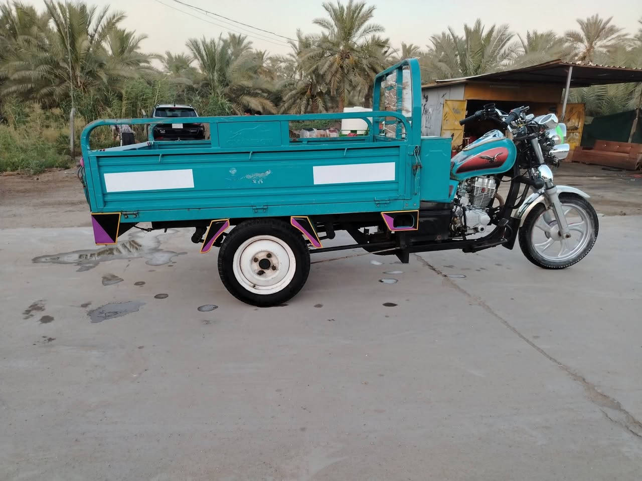 *********** شباب ستوته للبيع 2022 كفاله عامه الستوته وكيل كربلاء مكتب حسين باسمي ستوته مال جنات كفاله عامه مكان سدت الهنديه ستوته واحد على واحد كفاله
