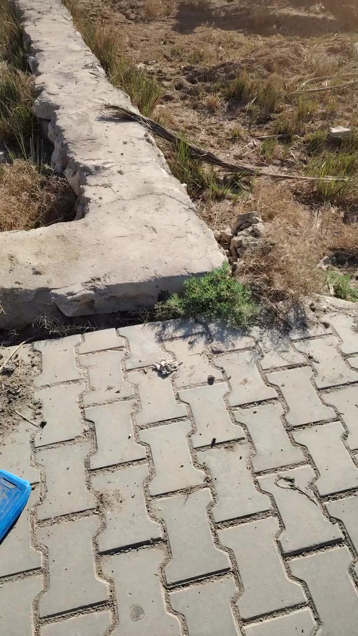 قطعه للبيع خلف الملعب لقديم المساحه 200شارع صادق
زراعي ***********
