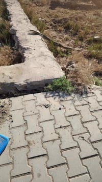 خلف الملعب القديم • شارع الصادق • زراعي ٢٠٠م