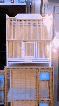 برج مال بلابل للبيع الارتفاع ٦٠ العرض ٥٥ صفحه البرج ٤٠
رقم الهاتف  ( *********** )
