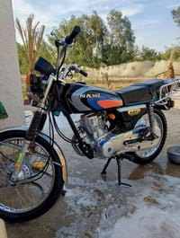 دراجة • شاصي 19 • تعمير 24