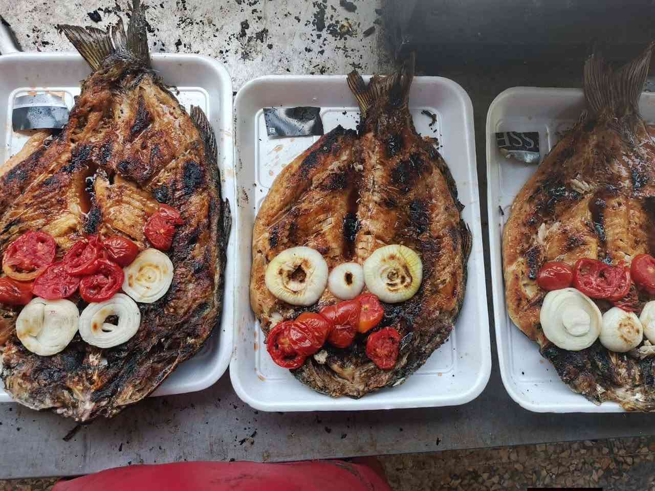 السلام عليكم.
سعر كيلوالسمك الشوي 6500.
سعر كيلو السمك الحي(بدون شوي)5500.
اهلا وسهلا بكم.
الموقع :-الكورنيش مقابيل الجامع الكبير.
للحجز الاتصال على.
***********
***********..
