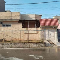 الزنجيلي • ١٢٤م • سند جديد