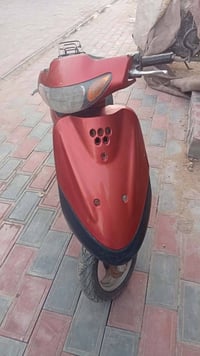 منغولي • ٢٢٥ • شغالة