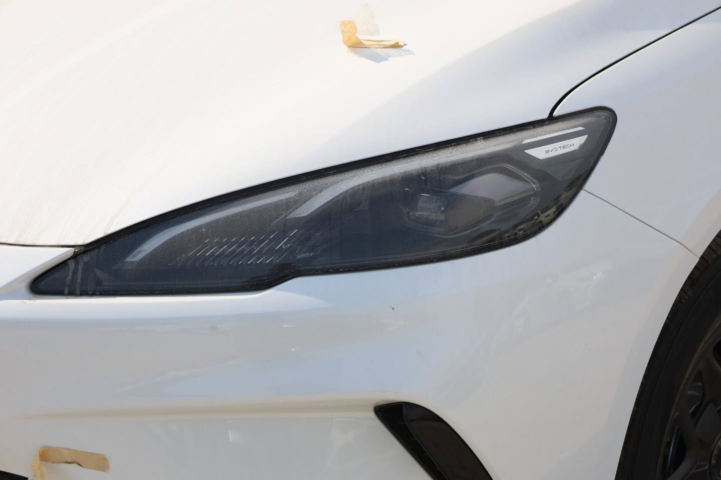 للأستفسار عن الأسعار 00971503917752 صلاح نوار


**إذا كنت صاحب هذا الإعلان وتريد حذفه لأي سبب، رجاءا أرسل رسالة إلى الدعم الفني**