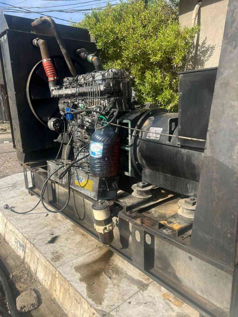 السلام عليكم مولده للبيع 124 راس توليدها 300/ استفسار***********/***********
