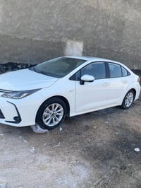 كورلا هايبرد • ٢٠٢٥ • رقم بابل